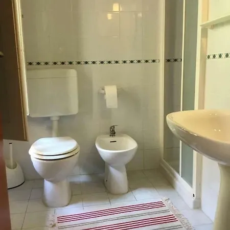 호스텔 뉴