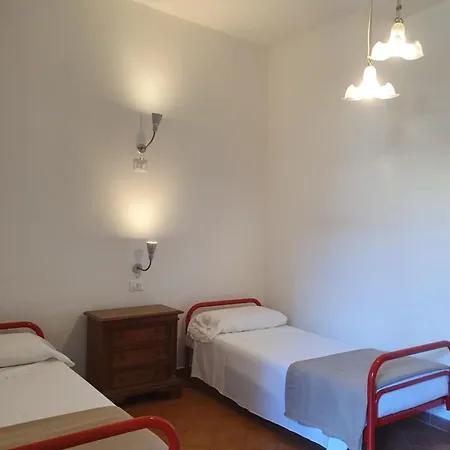 New * Firenze